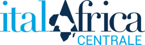 Presidente della Camera di Commercio ItalAfrica Centrale