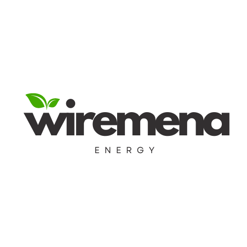 Wiremena logo_ Bianco